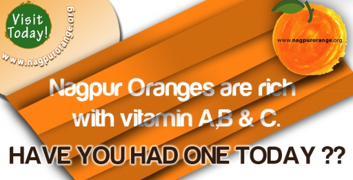 Order Nagpur Oranges Online